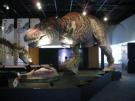 特別展「新説・恐竜の成長」－世界最大のティラノサウルス実物頭骨化石　日本初公開－