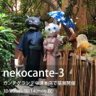 nekocante-3
